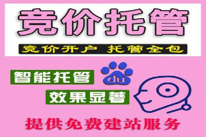 行业领先企业的信息流推广策略与效果分析